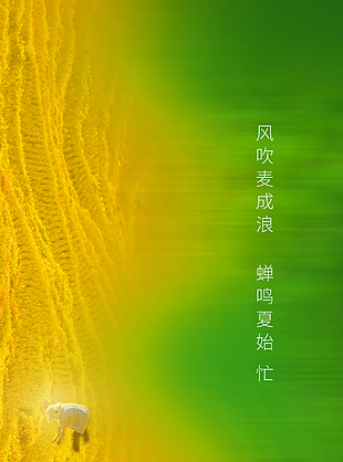 風(fēng)吹麥浪金色麥田創(chuàng)意漸變海報(bào)設(shè)計(jì)