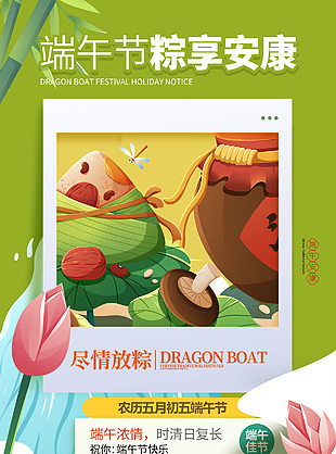 端午節(jié)粽享安康卡通插畫風(fēng)海報設(shè)計