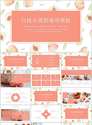 手绘白桃小清新工作总结计划通用PPT模板