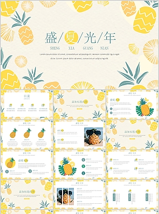 清新菠蘿盛夏光年工作總結(jié)計(jì)劃通用PPT