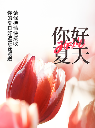 唯美小清新你好夏天正能量海報素材下載