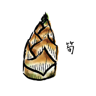 日式春筍食材插畫