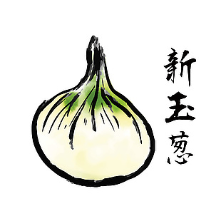 手繪洋蔥食材插畫