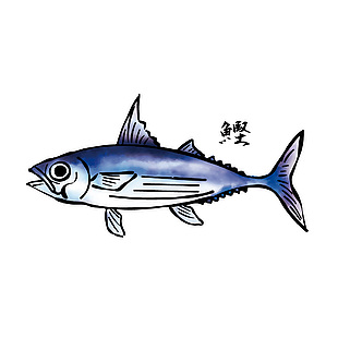 日式鰹魚食材插畫