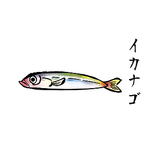 日料海鮮食材插畫