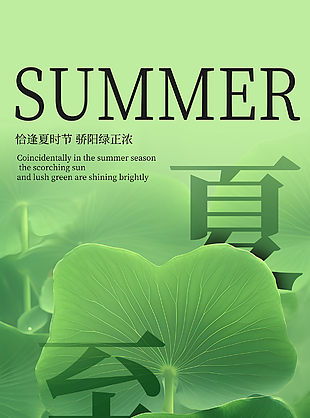 夏至?xí)r節(jié)蓮葉荷塘綠意正濃主題海報(bào)