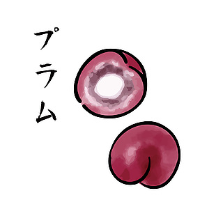 簡約李子水果插畫