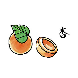 日式杏子美食插畫