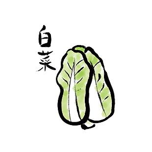 日式白菜食材插畫