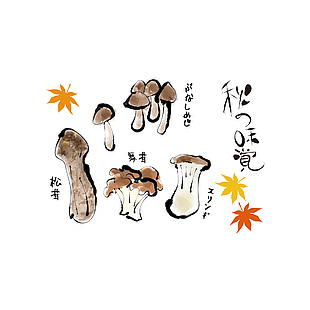 美味松茸手繪插畫