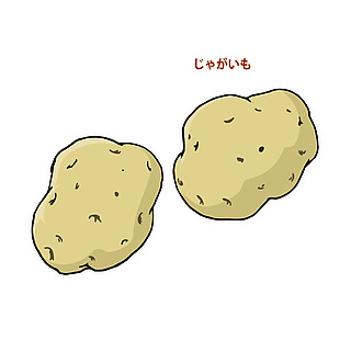 日式土豆食材插画