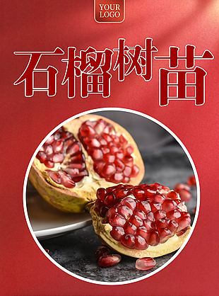 品種多樣石榴樹苗淘寶電商詳情頁素材