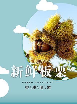 干果之王新鮮板栗淘寶電商詳情頁設計