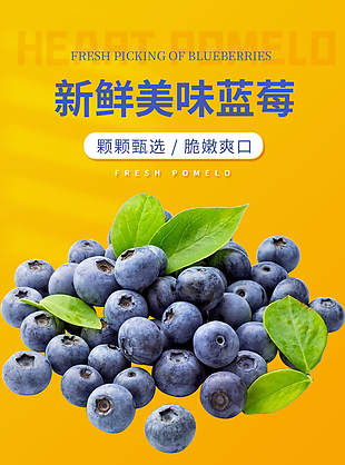 新鮮圓潤水果藍莓淘寶電商詳情頁素材