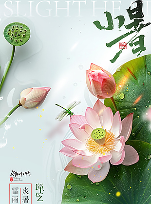 荷花荷葉配圖插畫小暑節氣主題手機海報