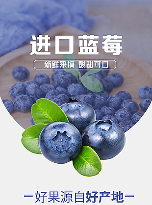 新鮮采摘酸甜可口藍莓淘寶電商詳情頁