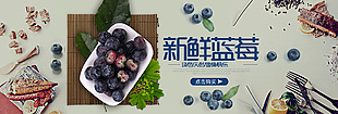 綠色天然健康快樂新鮮藍莓網頁購買引導模版