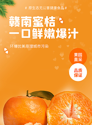 無核無渣爆汁贛南蜜桔淘寶電商詳情頁設計