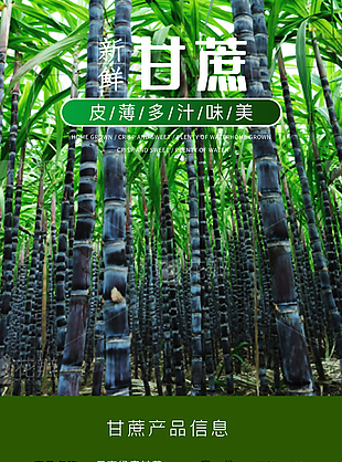 云南新鮮水果甘蔗淘寶電商詳情頁設計