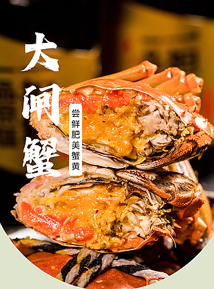 肥美蟹膏大閘蟹淘寶電商詳情頁素材