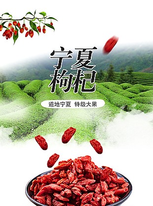 特級大果寧夏枸杞淘寶電商詳情頁設計下載