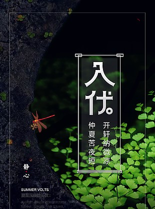 仲夏苦夜短開軒納微涼入伏時節海報