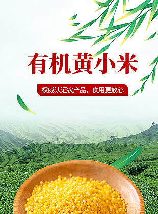 黃潤油亮有機黃小米淘寶電商詳情頁素材