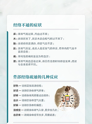 简约背部经络知识宣传海报