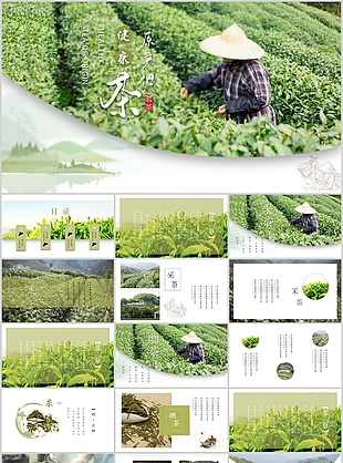 清新健康原產地茗茶文化介紹PPT模板