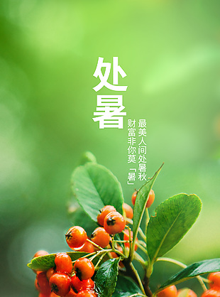 暑去秋盛丰收幸福创意处暑节气海报