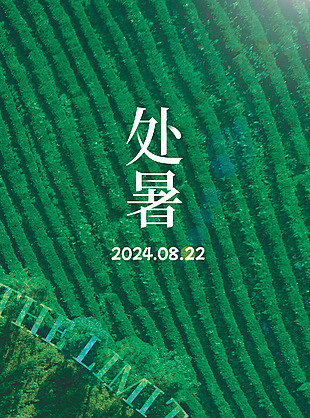 創(chuàng)意綠色簡(jiǎn)約梯田背景處暑節(jié)氣海報(bào)