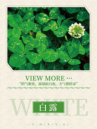 天氣漸轉涼清新綠意白露節氣海報