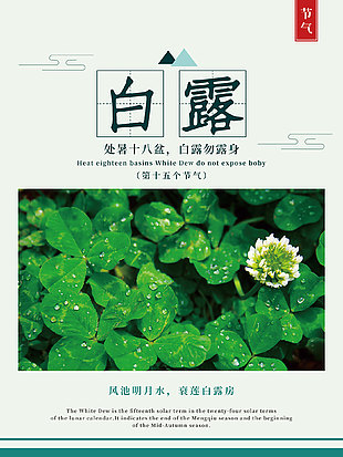 風馳明月水清新白露傳統節氣海報