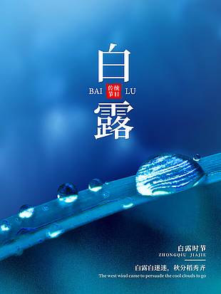 深藍色背景傳統(tǒng)節(jié)氣白露海報
