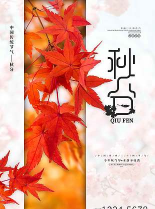 简约文艺传统二十四节气秋分海报