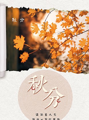 枯黃楓葉背景秋分節(jié)氣海報(bào)