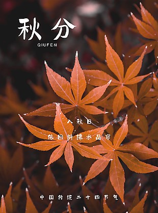 深色靜謐安寧秋分節(jié)氣海報(bào)