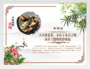 古典人物拿破仑简约校园宣传展板