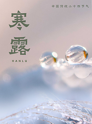 清晨露珠閑靜美景寒露節氣海報