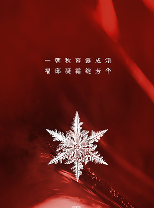 霜降节气雪花冰晶红色质感宣传海报