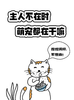 寵物店簡約線條手繪創意宣傳海報