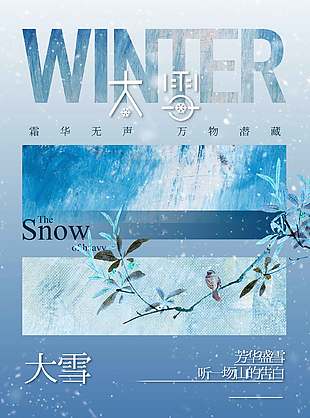 芳華盛雪詩意唯美農歷大雪節氣宣傳海報