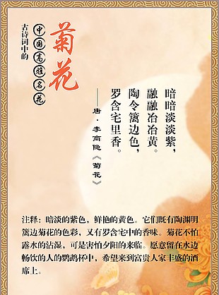 古诗词中的高雅名花菊花橙色海报