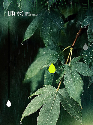 雨落万物传统雨水节气绿色清新海报