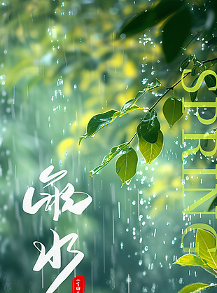 雨水時節森系唯美傳統節氣宣傳海報
