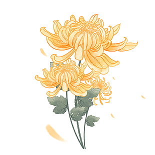 簡(jiǎn)約手繪卡通菊花植物插畫(huà)