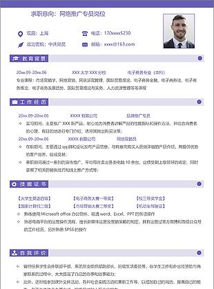 網絡推廣市場專員個性簡約簡歷