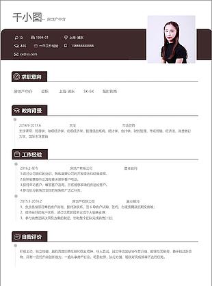 房地產中介置業顧問個人簡歷