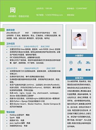 信息技術(shù)經(jīng)理簡歷設(shè)計