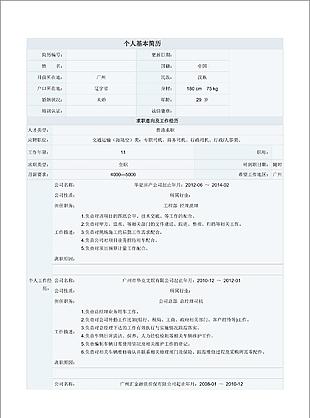 商務(wù)司機個人簡歷模板